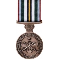 MEDC11 National Service Medal